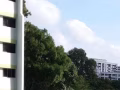 老文理，床位出租。歡迎愛乾淨的男士入住。