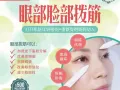 一天眼部/脸部/颈部拨筋课程 只需$160.50