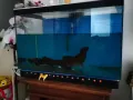 后港附近 自取 减价处理  整套玻璃鱼缸  大缸  小 缸都有
