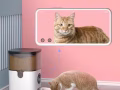 宠物自动喂食器