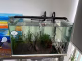 鱼缸出售