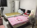 急！义顺272 两人间找搭房，只要女生