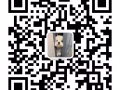 特价电子雾化弹现货 lana，sp2等等