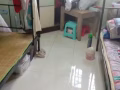 5分钟步行海军部地铁站,可以报地址，只限女性