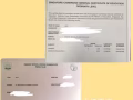 專業1對1補習華文老師