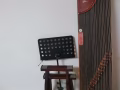 扬州（东方韵）古筝