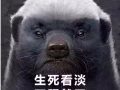 带你赚外快呦2000-3000