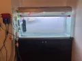 1米长的鱼缸低价出售