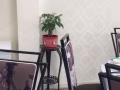全新椅子