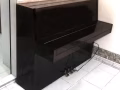 Flora Piano 钢琴