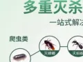 Ninja pest control 杀虫一级棒👍👍