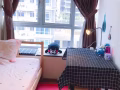 优惠普通房仅800