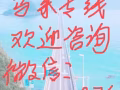 中国到新加坡专线海运空运服务