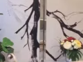 波東巴西整套公寓出租- 超大公寓