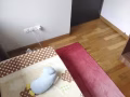 馬里士他科廷培根大學附近，全屋女生！普通房出租，無中介可報地址