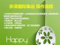 想在国内淘宝买东西寄到新加坡怎么操作呢？