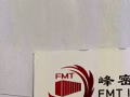 SUMMIT旗下FMT新航運公司