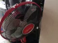 闲置的风扇8元一个，15元两个，义顺大牌244自取