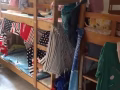 出服务业本屋地址四人间女搭房，找干净安静事少东西少的女生入住！