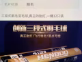 羽毛球羽毛球拍