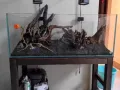 全新鱼缸和木架