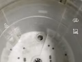 专业清洗洗衣机
