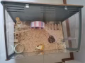 闲置物品