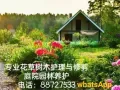 家庭园林-花草树木-修剪与养护