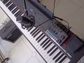 ALESIS. RECITAL PRO  钢琴触键88键　八成新