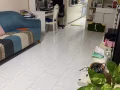 普通房招搭房
