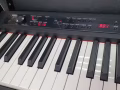 日本进口电子琴korg LP380