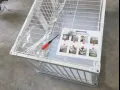 出售宠物笼 -全新 - 10/10 -