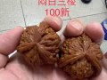 文玩核桃--磨盤、官帽、白獅子、四座樓、手攆，應有盡有