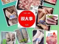 专卖冷冻肉食品牛羊猪鸡，欢迎朋友咨询