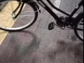 自行车