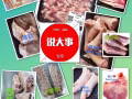 冷冻肉牛羊猪鸡专卖