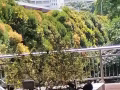 转租女搭房，没有中介费，兀兰地铁口，可报制造业地址