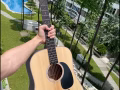 乐器演奏  弹唱 教学