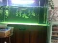 鱼缸出售