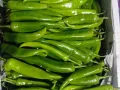 有鲜活小龙虾 大闸蟹 各种海鲜 蔬菜 水蜜桃 等等可以全部团购