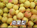 有鲜活小龙虾 大闸蟹 各种海鲜 蔬菜 水蜜桃 等等可以全部团购