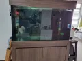 出售鱼缸150