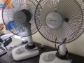 有两个台扇要卖，有需要的联系我