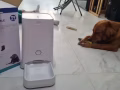 闲置宠物用品甩