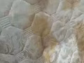 JRF专业高温蒸汽清洗，床垫，沙发，油烟机！专业退房打扫公司！给您一个舒适的家！