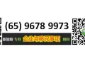 新加坡PR申请与各类移民项目