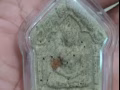结缘泰国佛牌