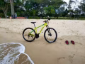 出售自行車