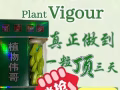 娃娃，噴劑，玩具，衣服高潮液