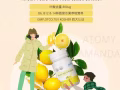 高品質檸檬源葉酸🍋【造血維他命，有助胎兒的神經胞發育，能減少先天異常或缺陷的可能性】